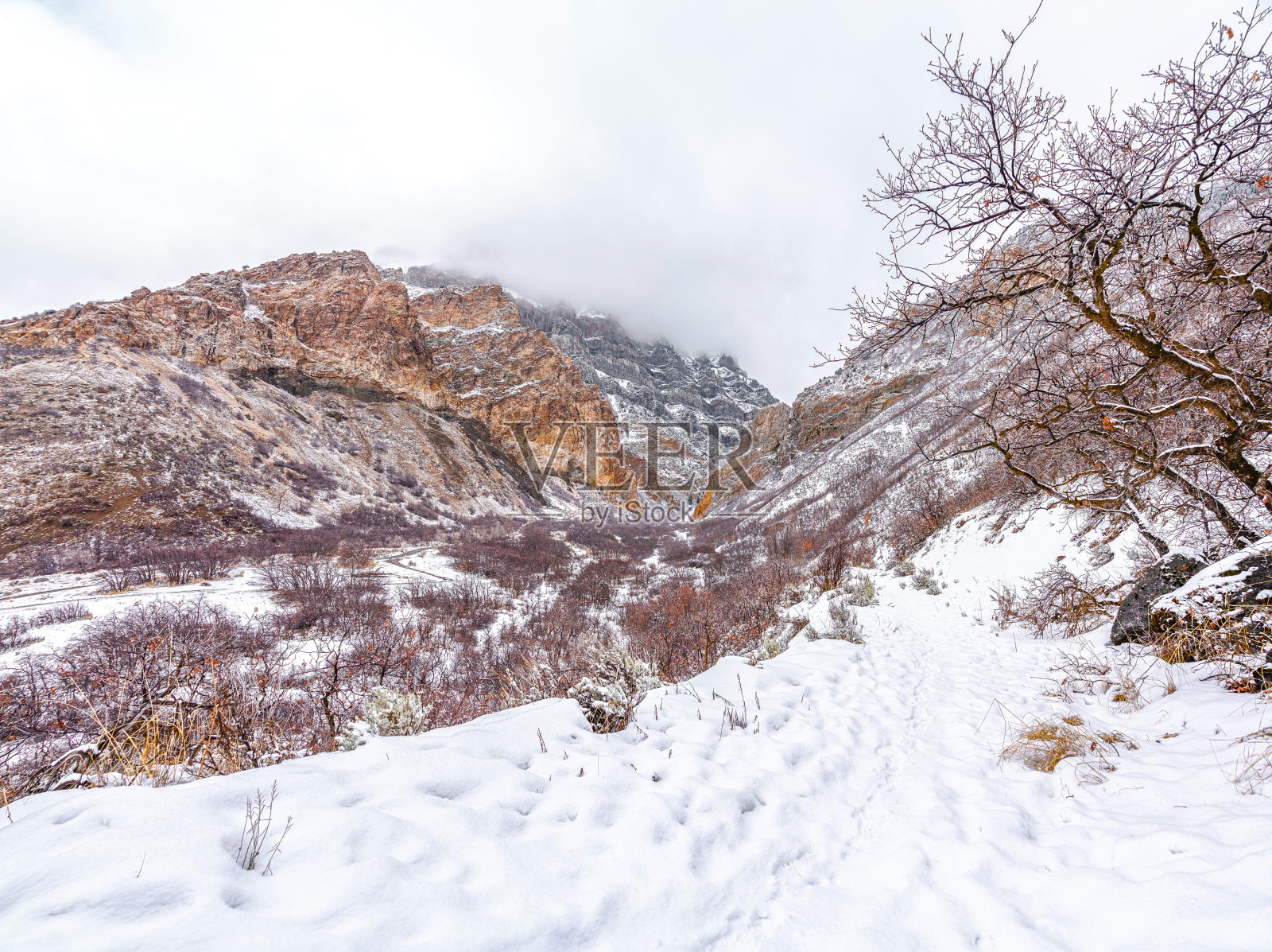 冬季风景优美的山景，山峰高耸入云照片摄影图片
