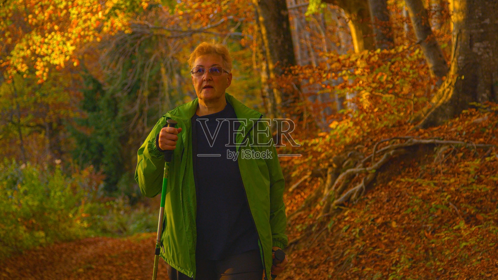 特写:中年女性沿着一条小路穿过秋天的彩色树林。照片摄影图片