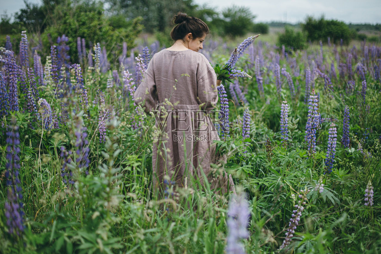时髦的女人穿着乡村服装聚集在草地上的羽扇豆，大气的形象。Cottagecore美学。年轻的女子穿着亚麻裙在夏日的乡村拾花，乡村的慢生活照片摄影图片