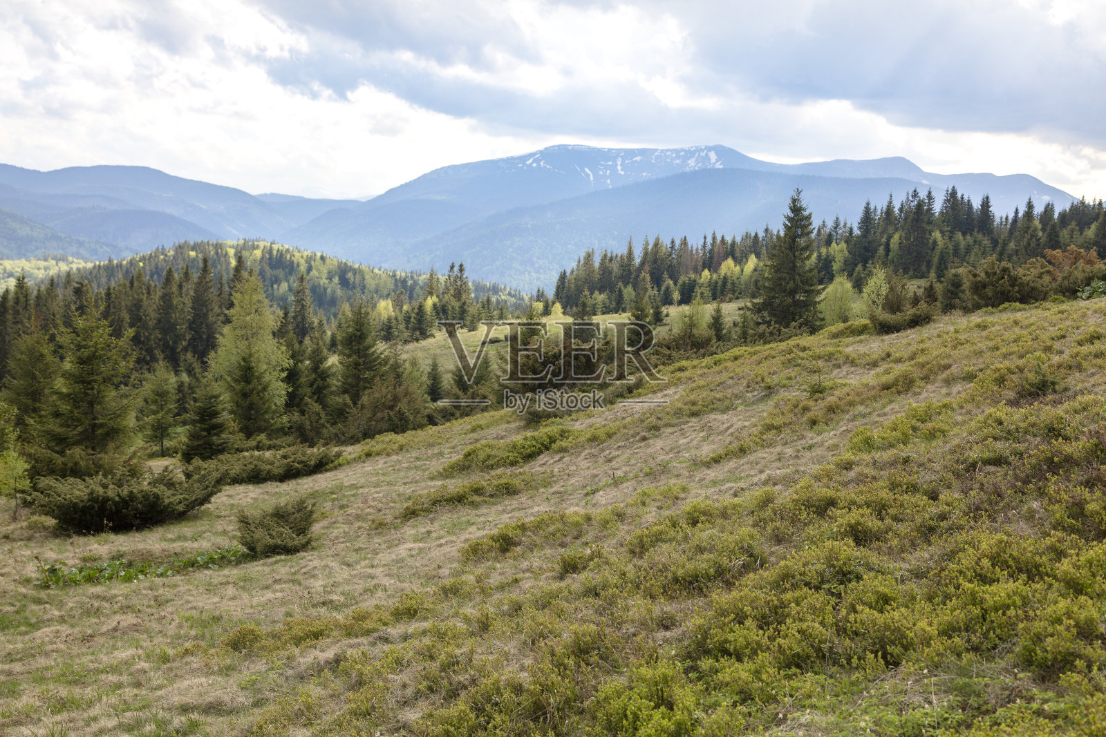 从Shcivka草甸、Gorgany、喀尔巴阡山脉观看Dovbushanka山，徒步概念照片摄影图片