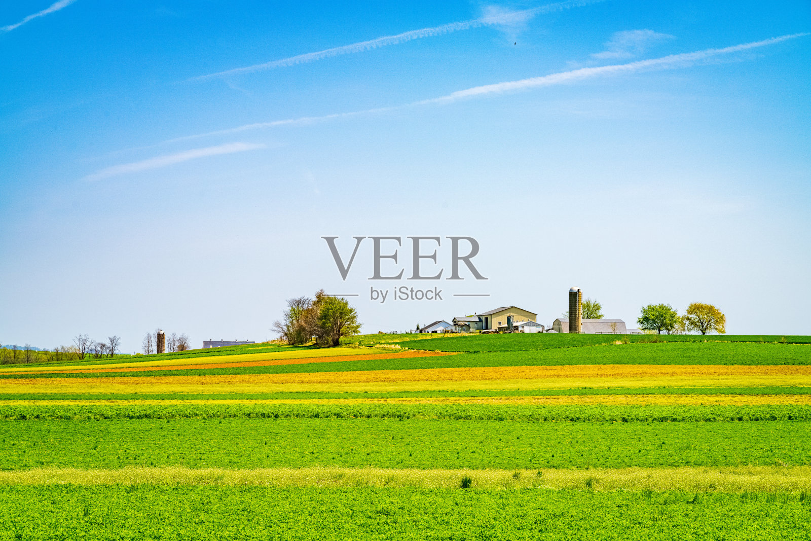 美国北美PA宾夕法尼亚州兰开斯特的阿米什国家，农场，家庭和谷仓的农田农业照片摄影图片