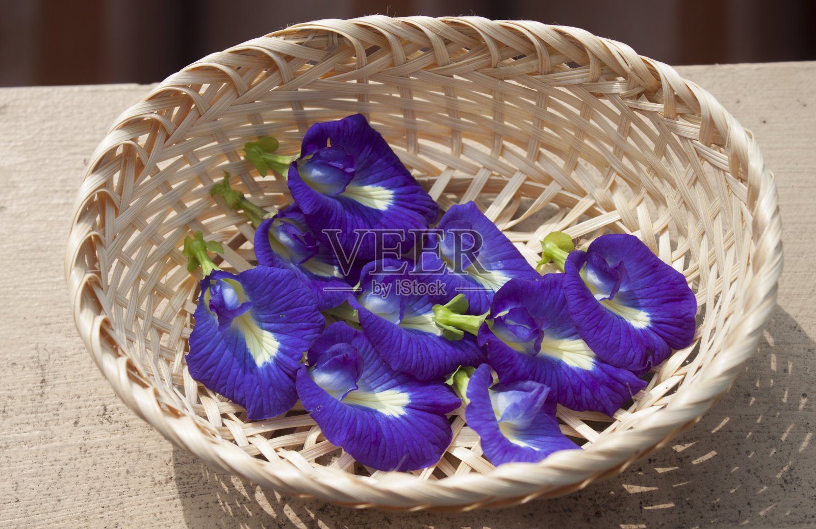 特朗花在布里吉色藤。照片摄影图片