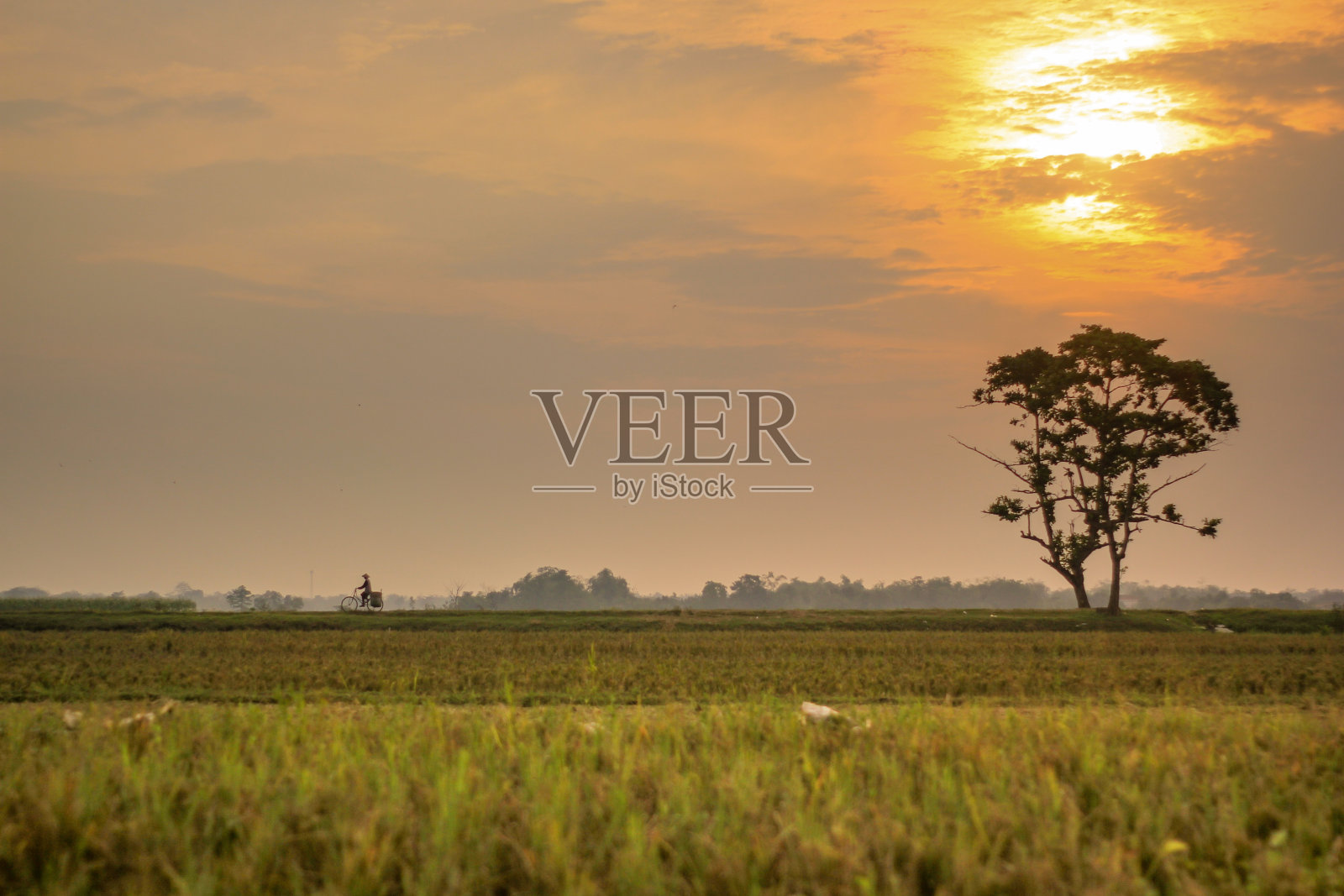 回家照片摄影图片