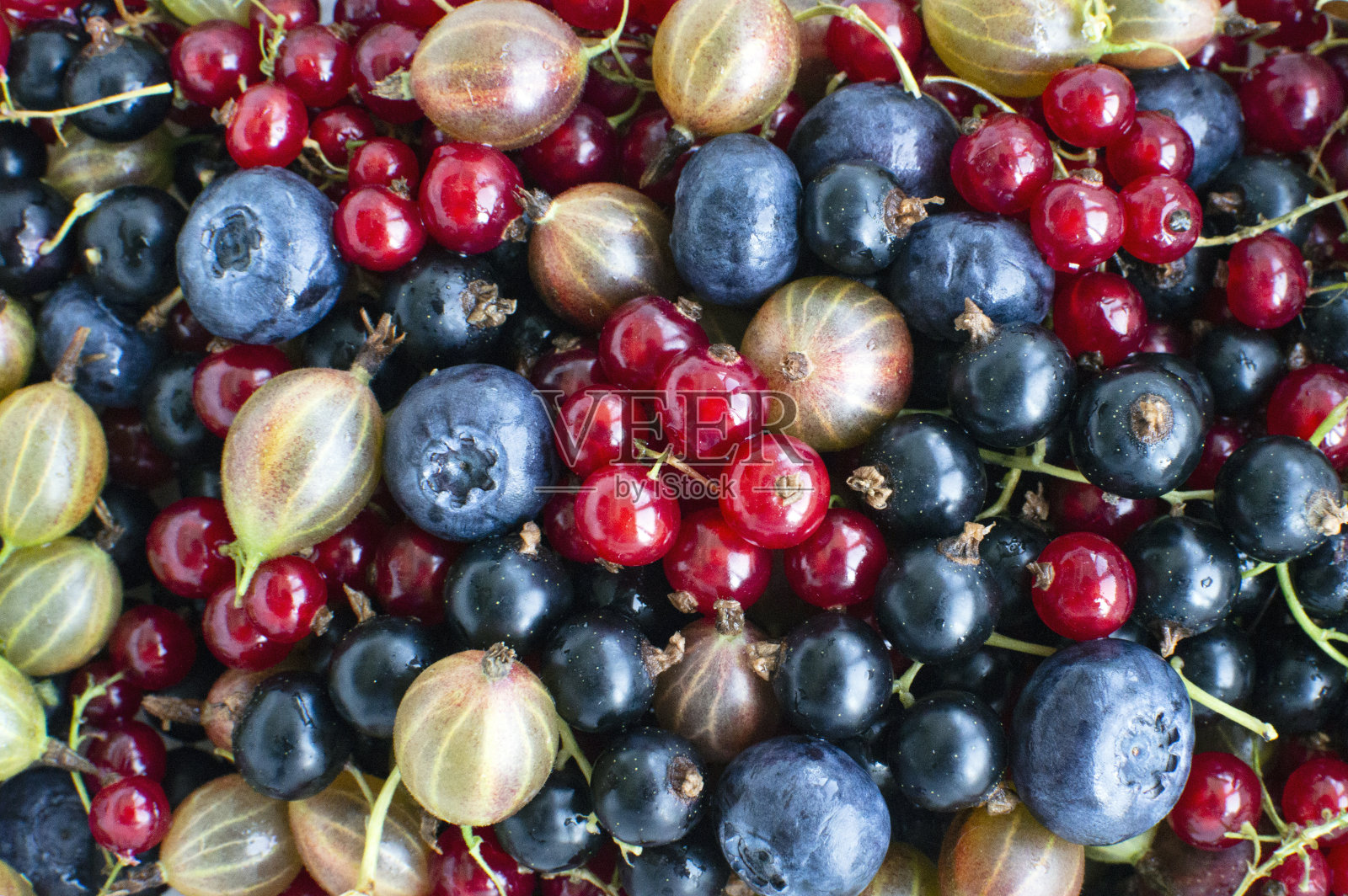 新鲜浆果的背景照片摄影图片