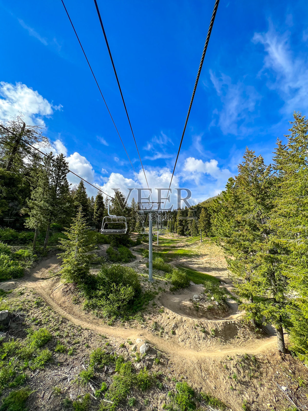 夏季在Bogus Basin的山地自行车椅升降机照片摄影图片