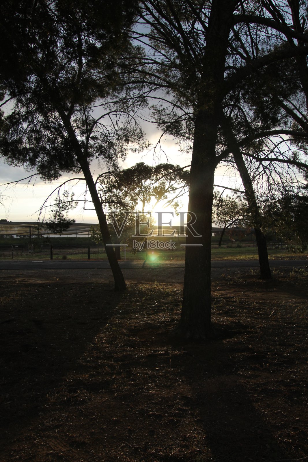 罗斯沃西的太阳飞车照片摄影图片