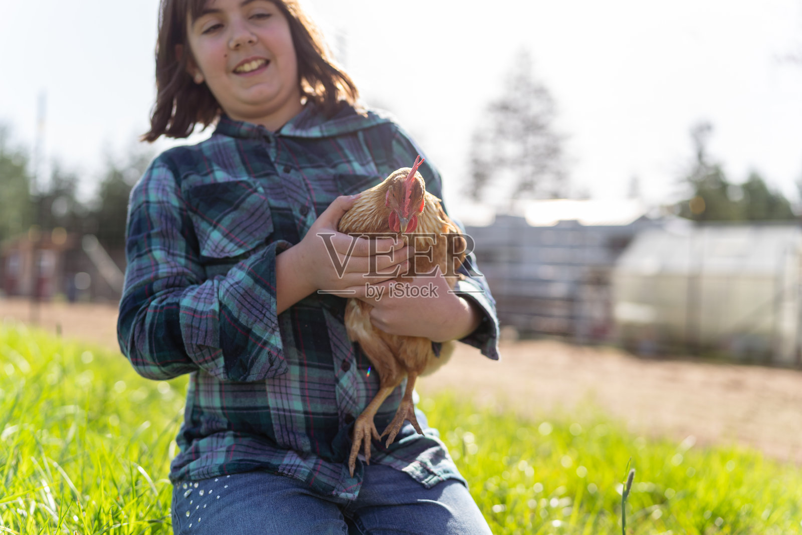 小学女孩抱着宠物鸡照片摄影图片