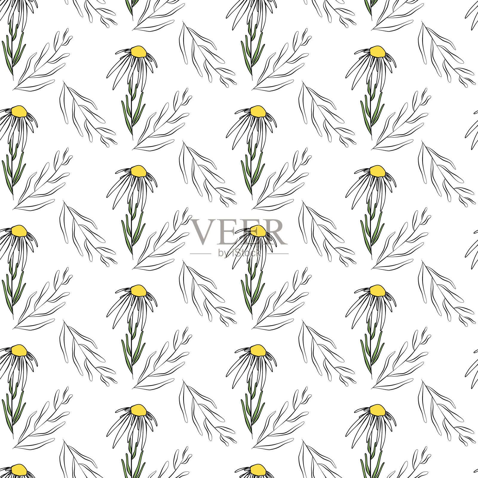 矢量模式，带叶插画图片素材