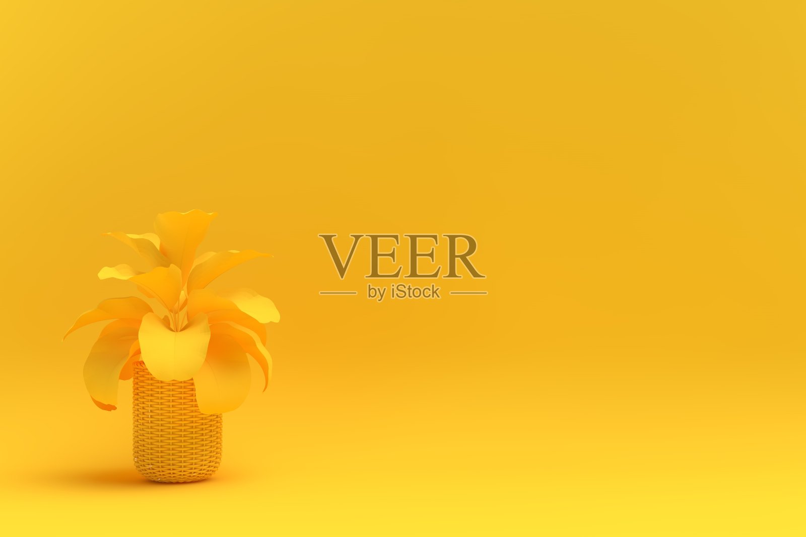 3 d盆栽植物照片摄影图片