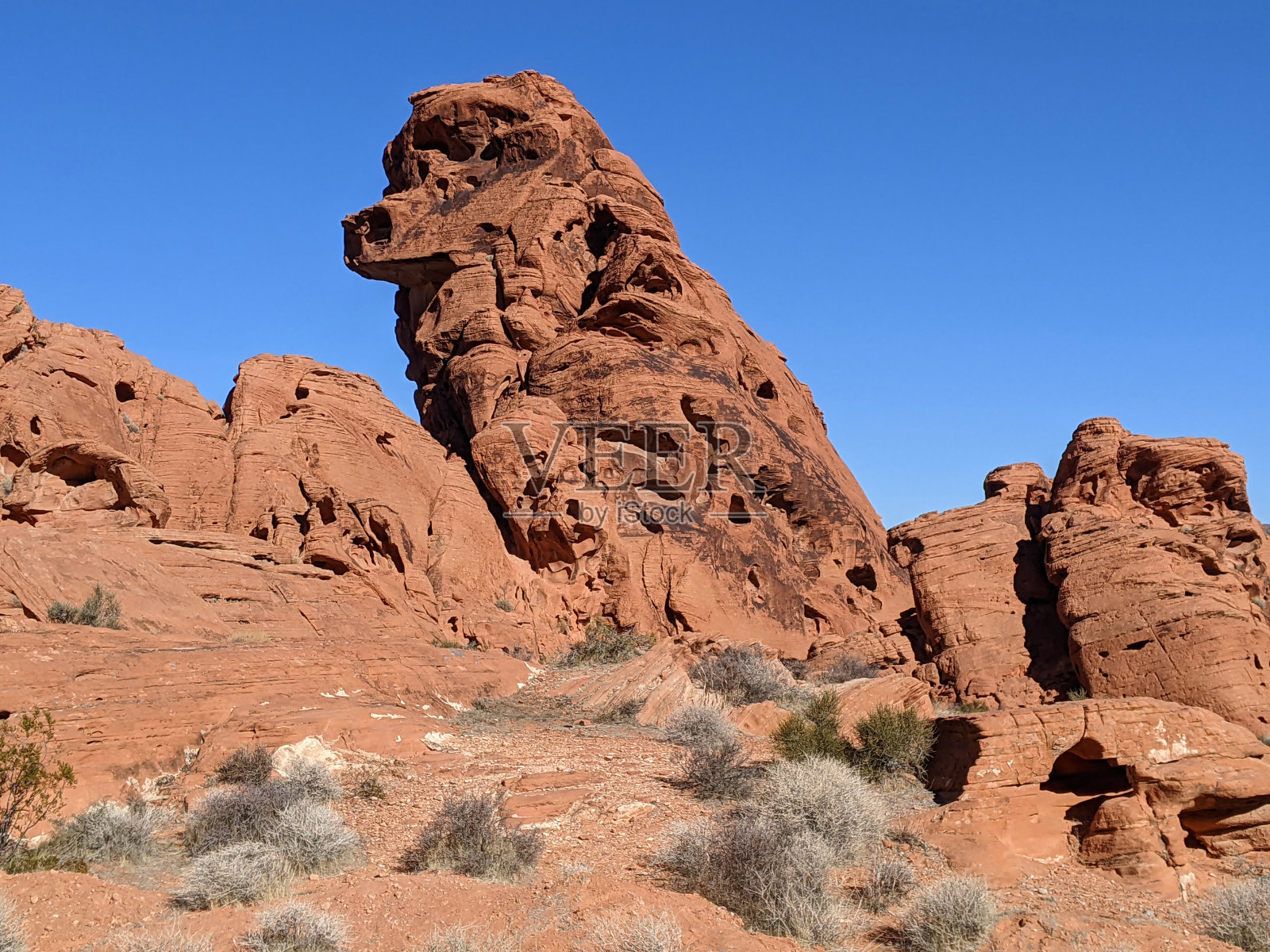 内华达莫帕火谷州立公园的红色岩层照片摄影图片