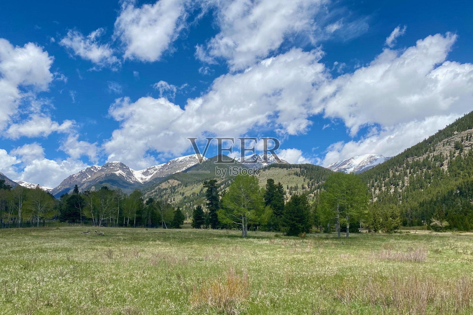 落基山国家公园的高山草甸照片摄影图片