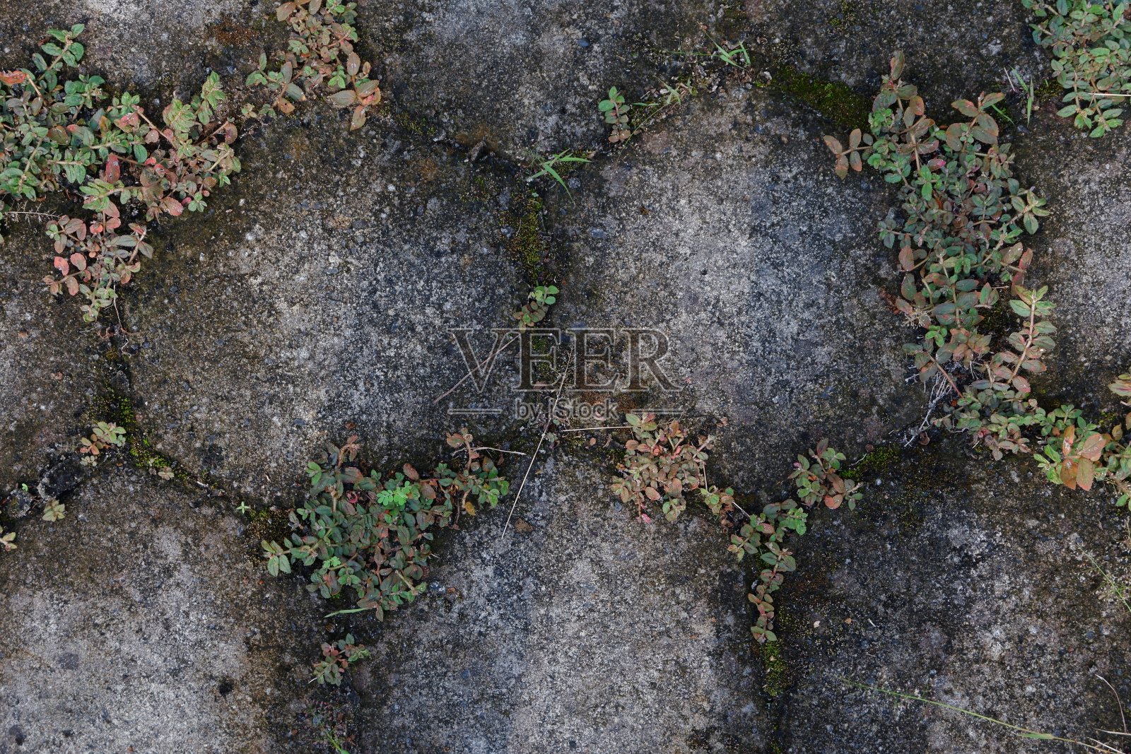 水泥纹理背景俯视图照片摄影图片