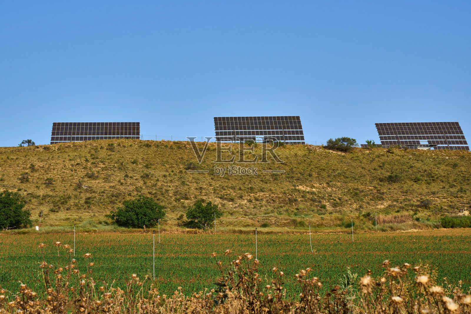 农田或果园的太阳能电池板收集太阳能照片摄影图片