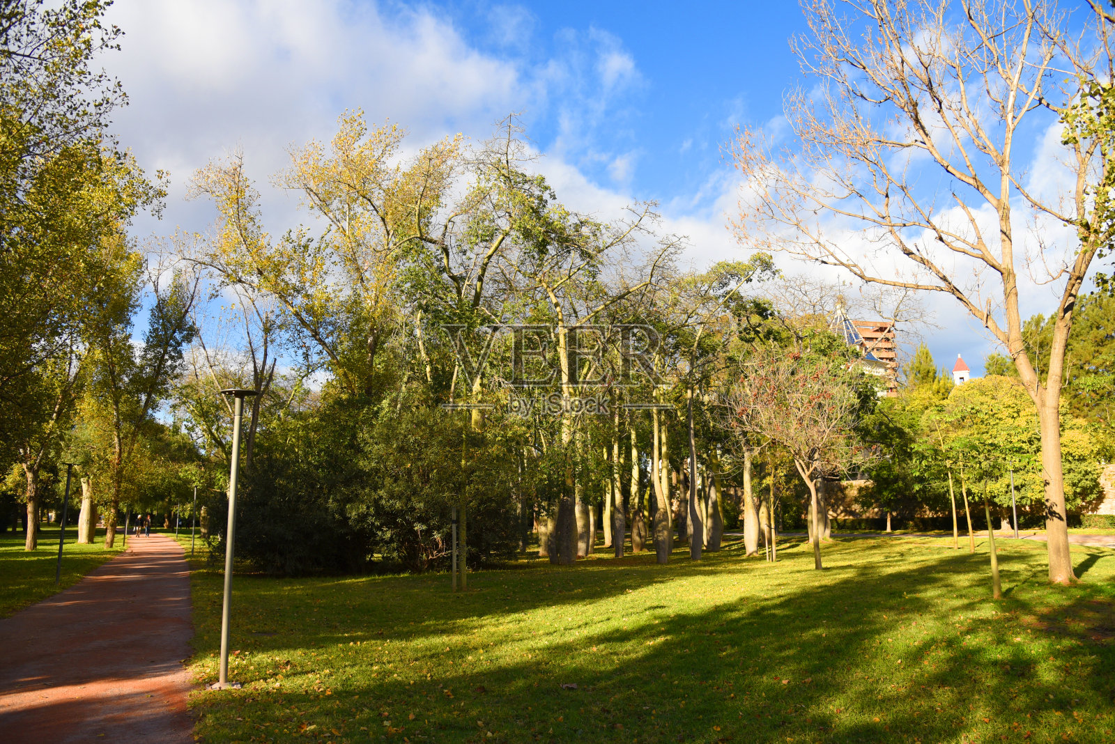 有绿树和棕榈树的城市公园。有花园和绿树的瓦伦西亚中央公园。照片摄影图片