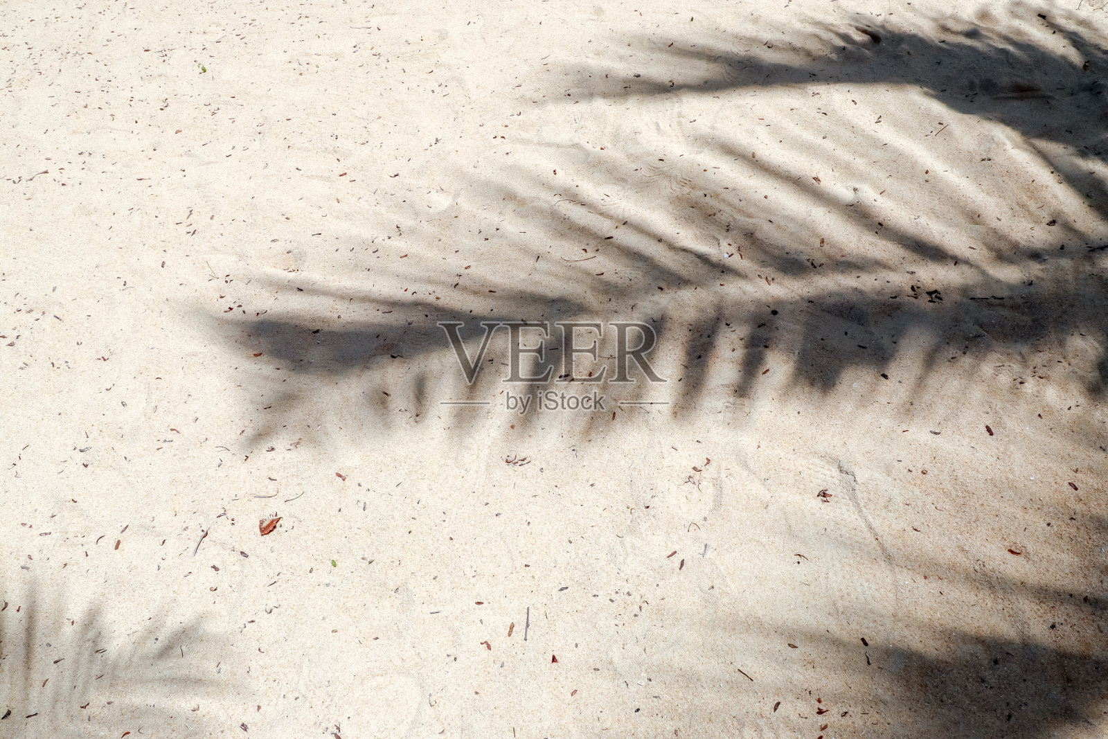 影子照片摄影图片