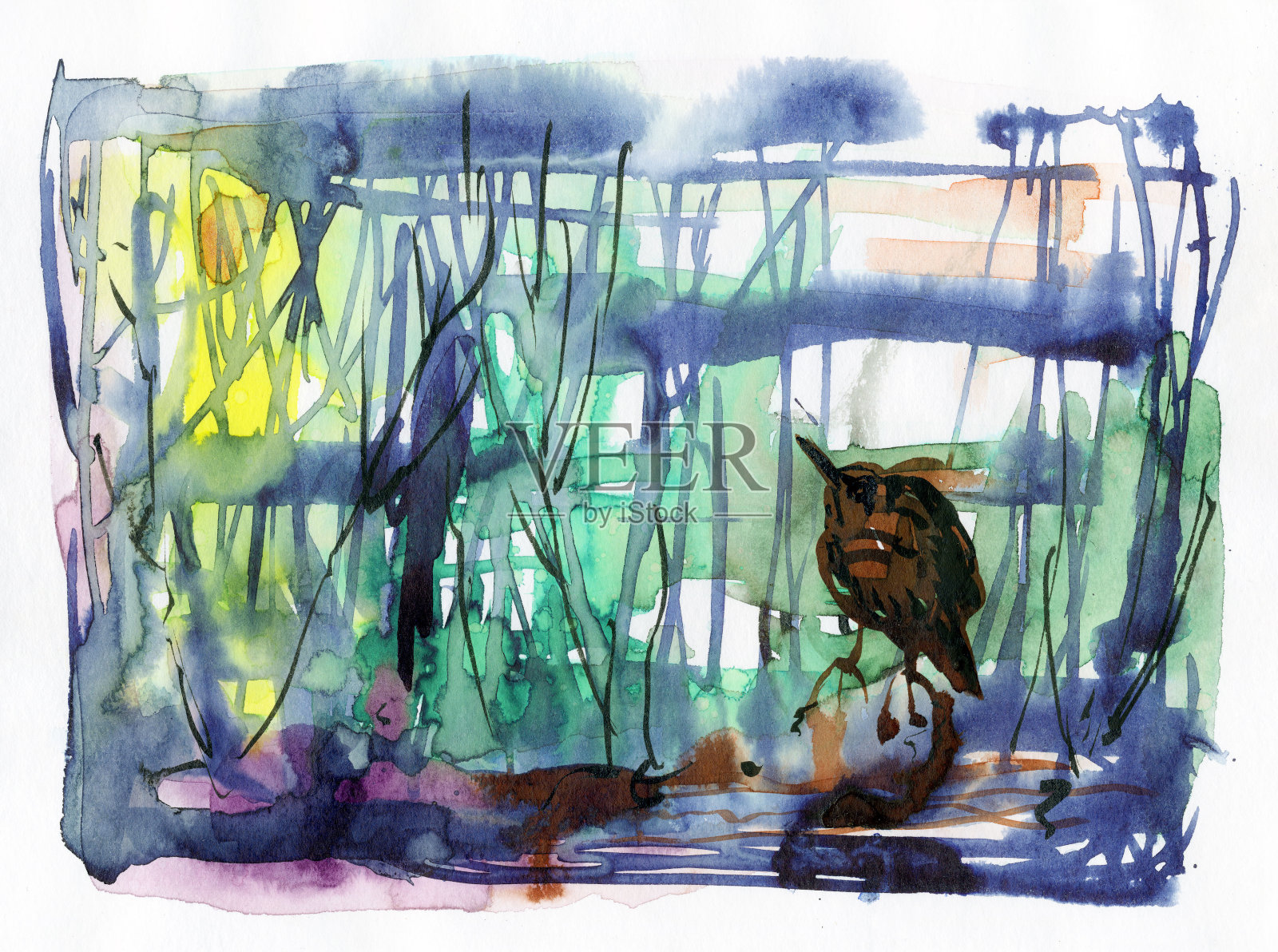 湖岸或河边的卤水。插画图片素材