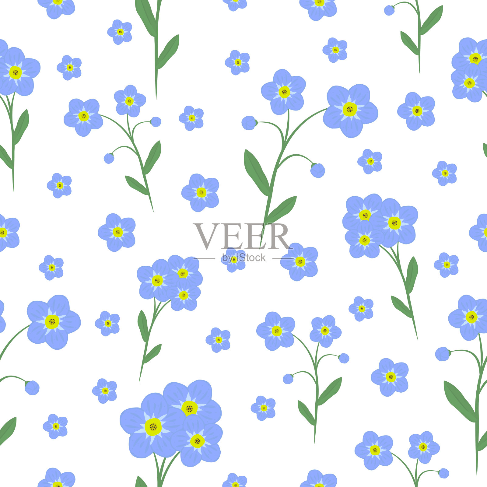 勿忘我，花无缝图案插画图片素材