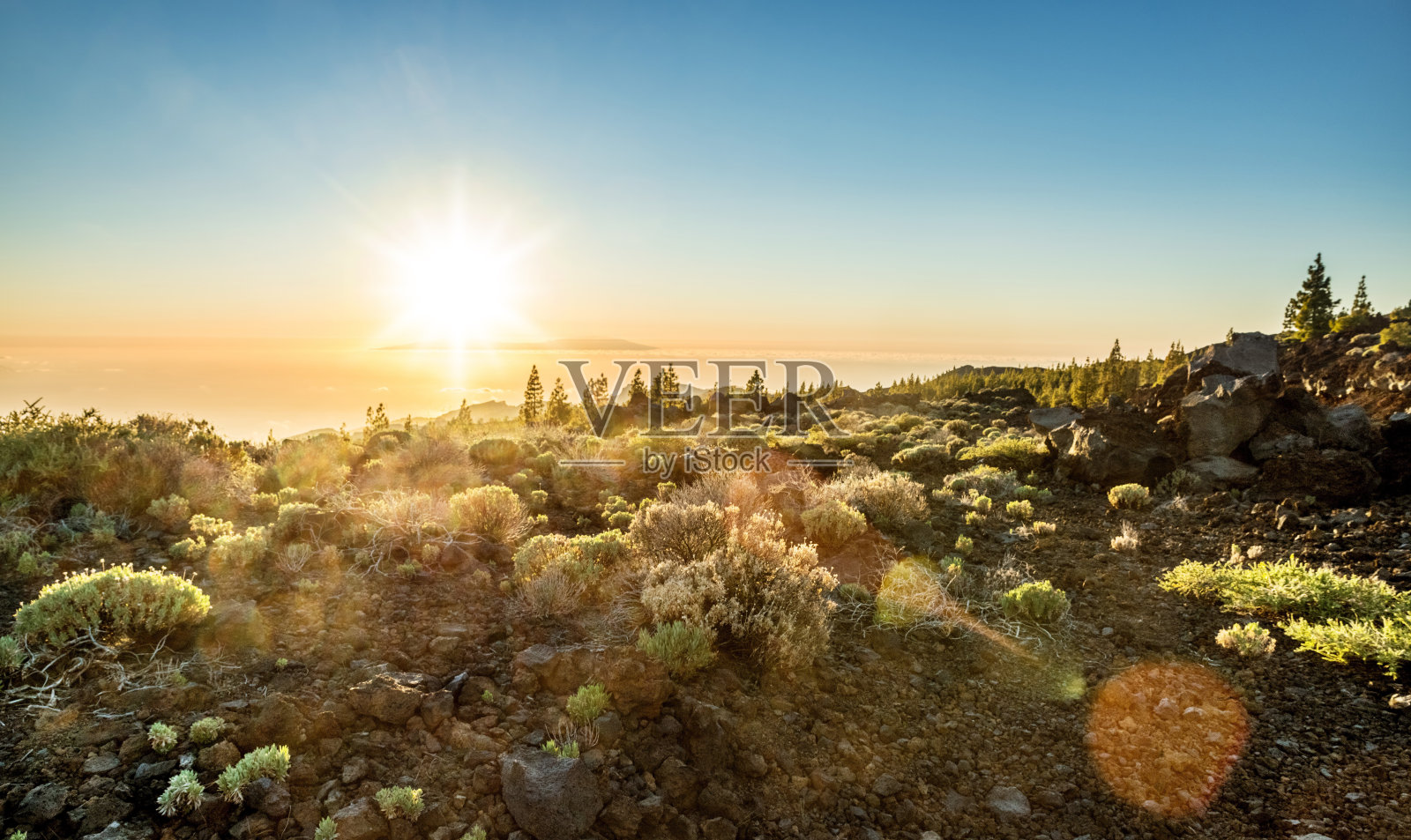 泰德国家公园的植物群和拉戈梅拉岛在夕阳的背景。特内里费岛。照片摄影图片