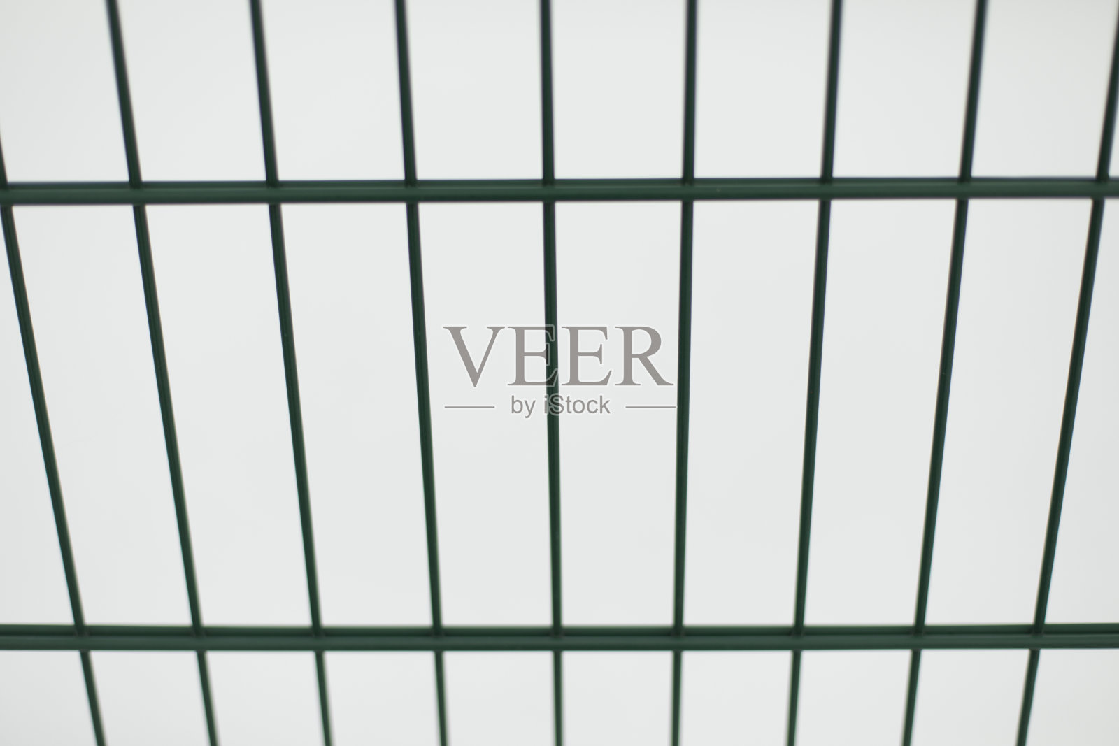 绿篱格栅。栅栏的细节。照片摄影图片