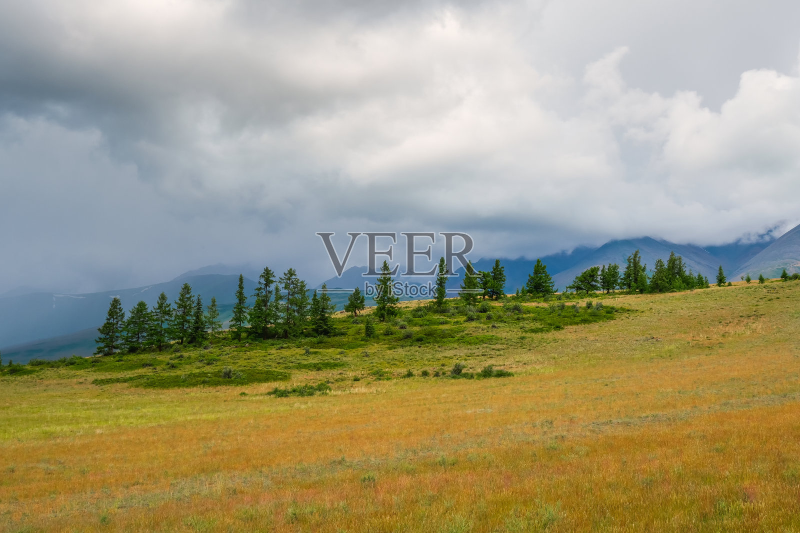 多云的天空，多变的天气，阳光下的雪松林和高山的壮观景色。五彩缤纷的夏季山地景观与稀疏生长的大山相映衬。照片摄影图片