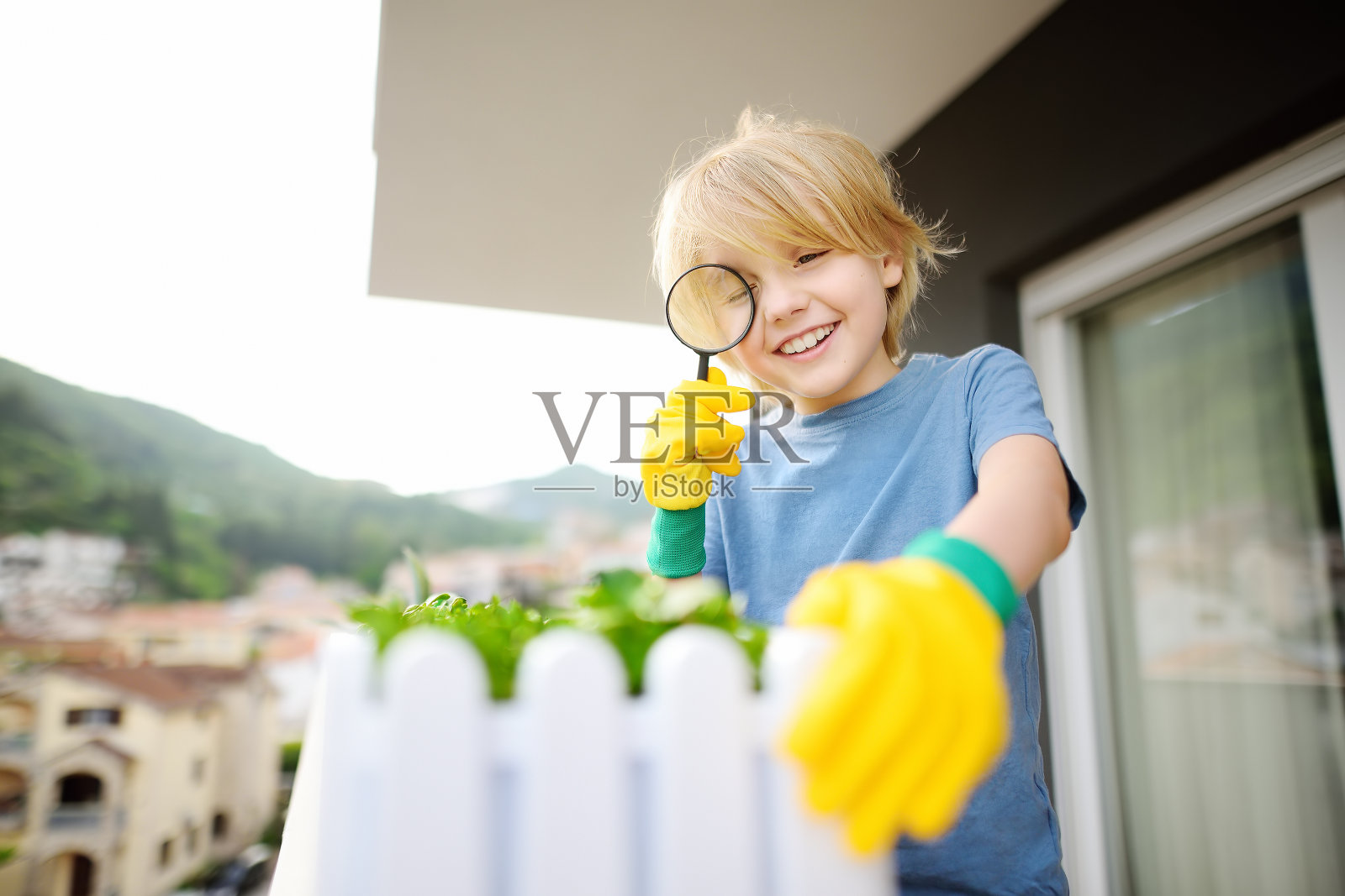 一个可爱的学龄前男孩正在阳台上的一个盒子里种植微型绿色植物。在一个阳光明媚的夏日，孩子们正在观看植物的放大镜。阳台上的厨房花园。照片摄影图片