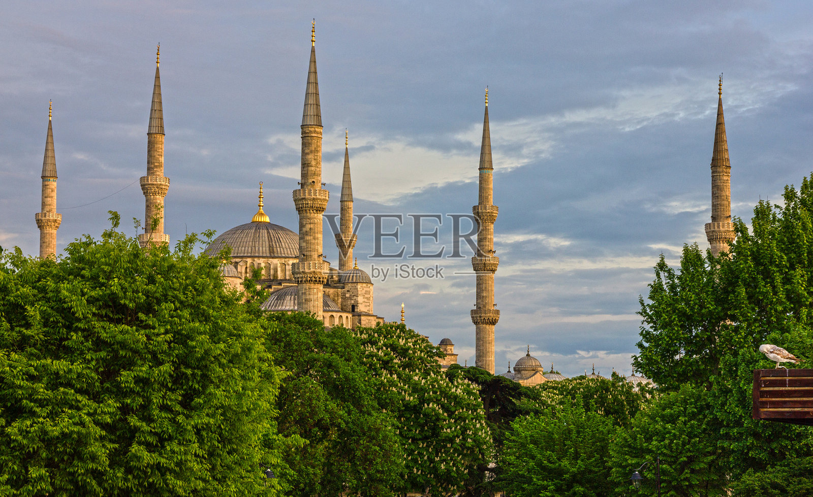 伊斯坦布尔清真寺苏丹艾哈迈德建筑观，蓝色清真寺照片摄影图片