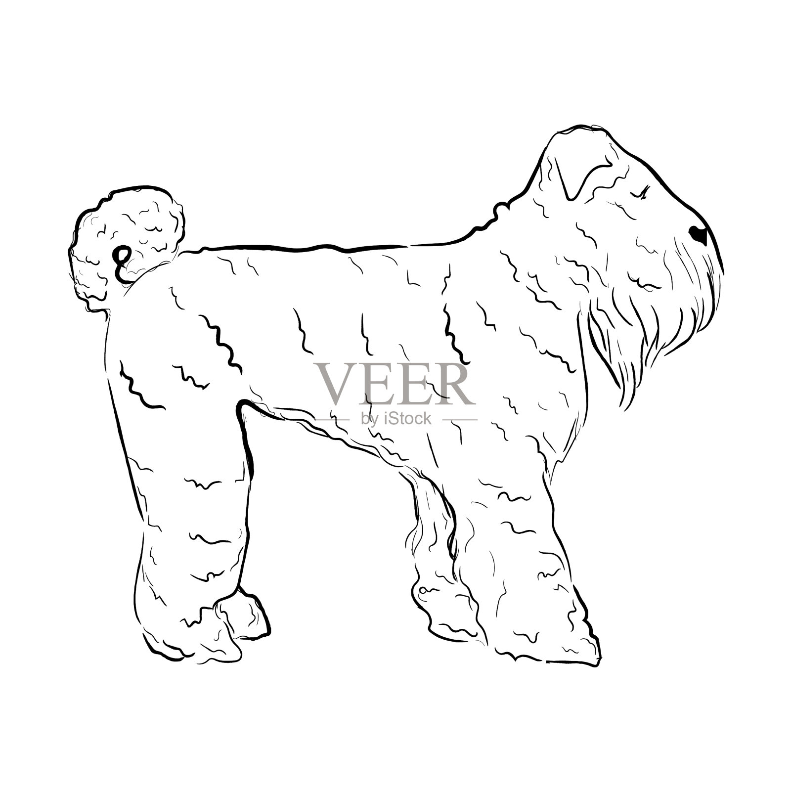 黑色的俄罗斯梗狗孤立在白色设计元素图片