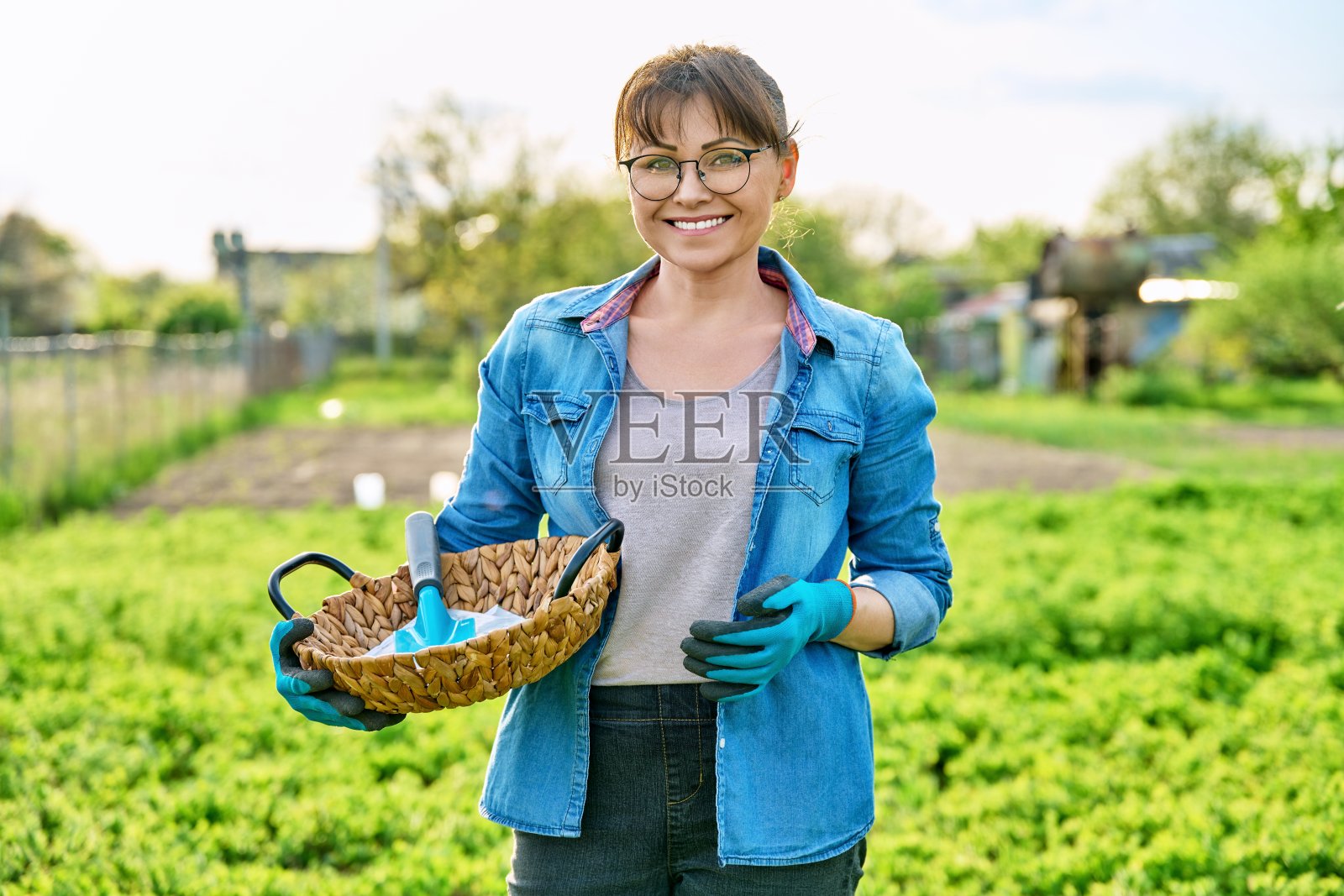 中年妇女在春天的花园里，戴着手套，拿着铁锹，装着种子照片摄影图片