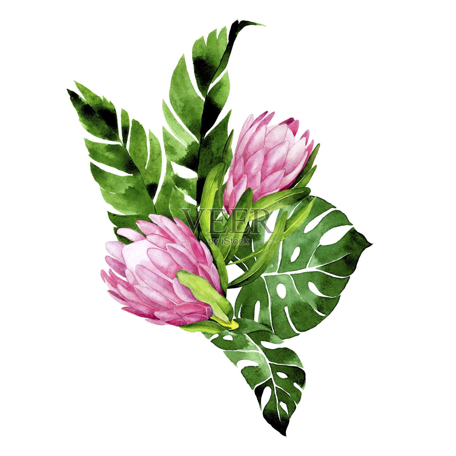 水彩画热带花卉和树叶的花束。海葵花和棕榈叶的组成。剪贴画孤立在白色背景插画图片素材