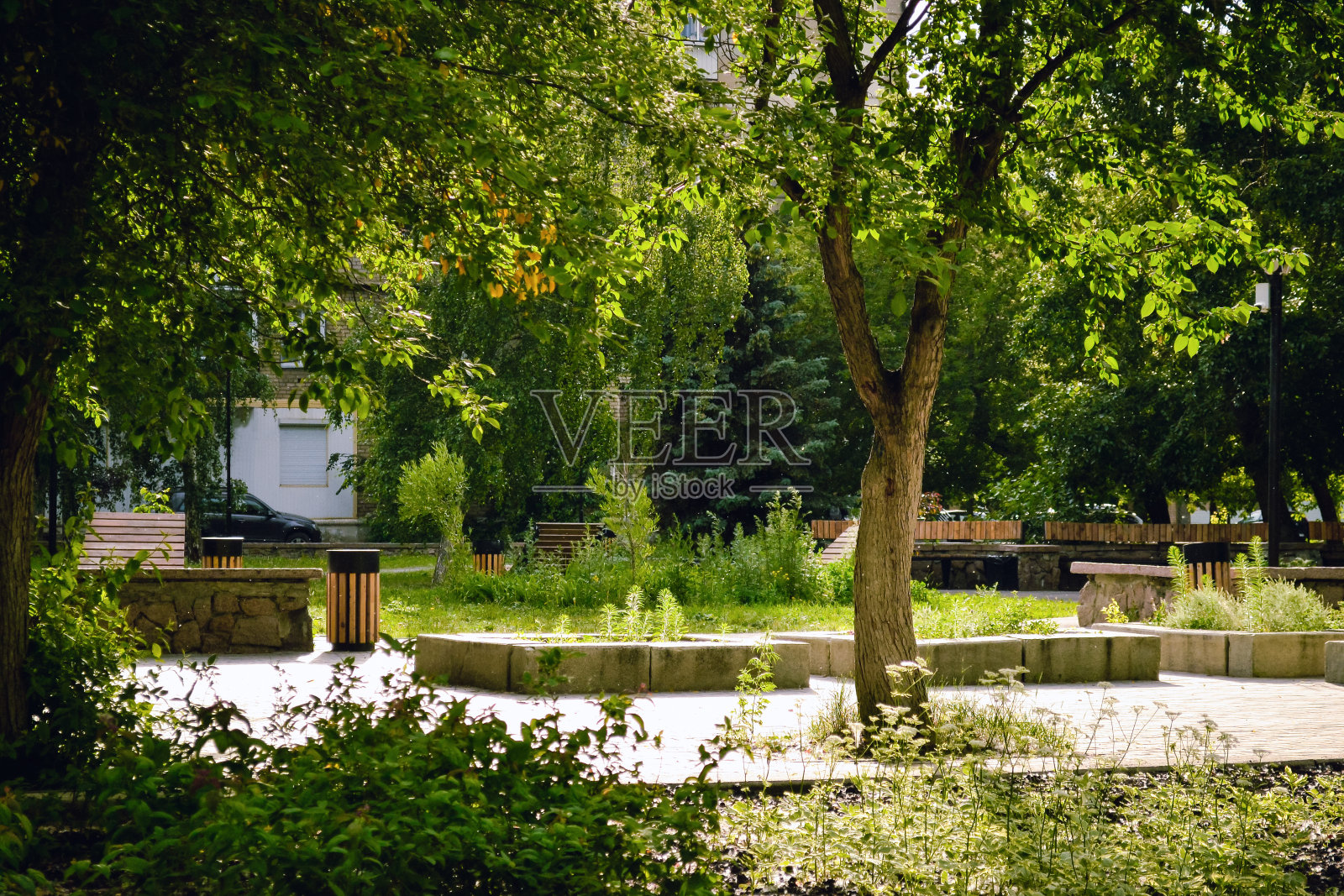绿油油的城市公园中央的树干，有长椅、花坛和垃圾桶照片摄影图片
