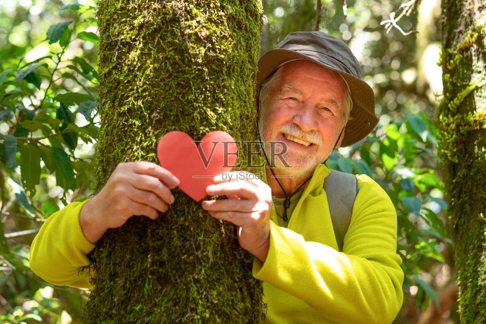 微笑的年长男子徒步在树林中持有一个纸心在一个苔藓覆盖树干-地球日的概念。人们需要从森林砍伐中拯救地球照片摄影图片
