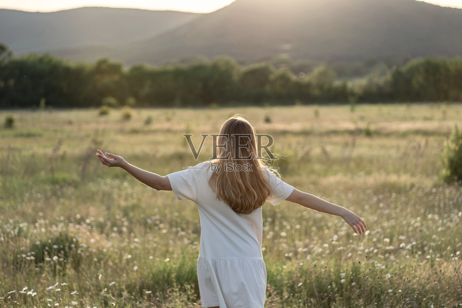 美丽的年轻女孩张开双臂，在花丛中享受大自然。旅游健康生活，享受自然。自由健康的理念。照片摄影图片