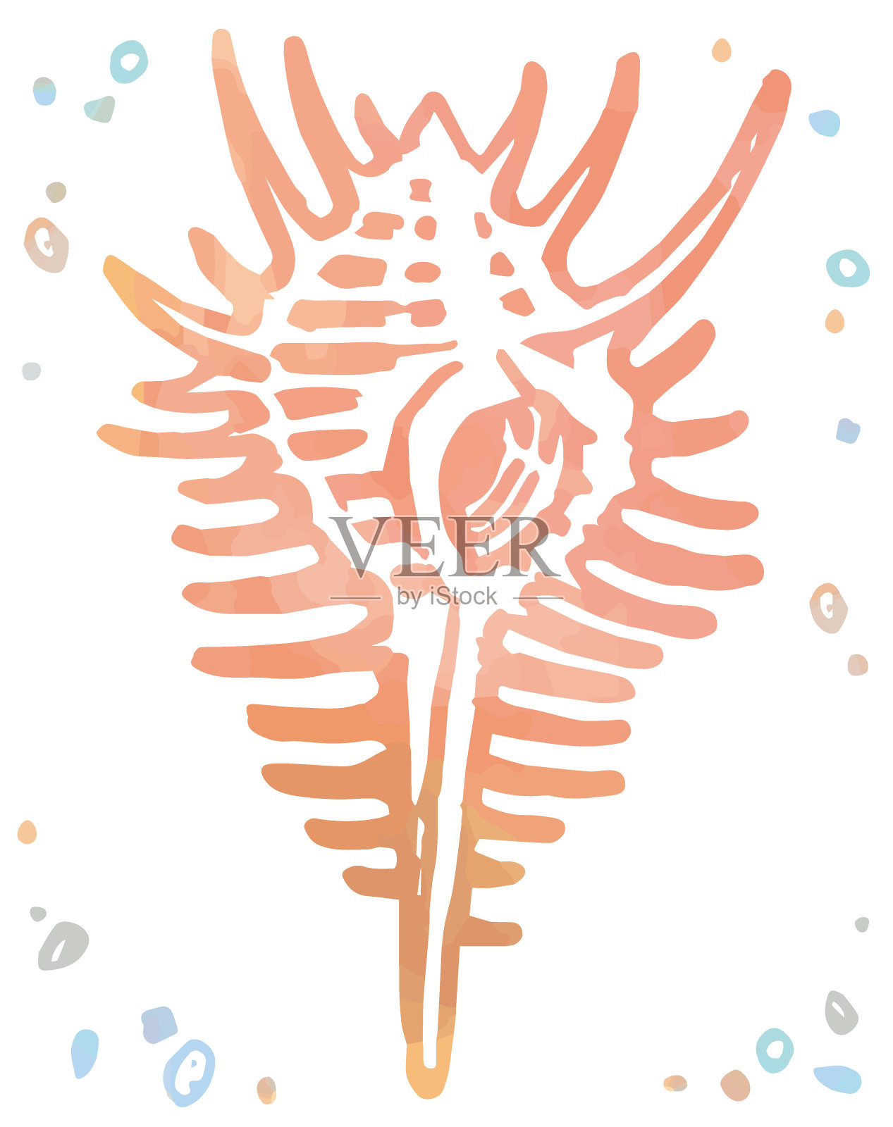 水彩孤立的贝壳。矢量插图。插画图片素材