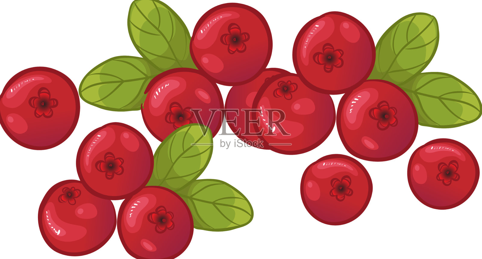 蔓越莓用树叶设计元素图片