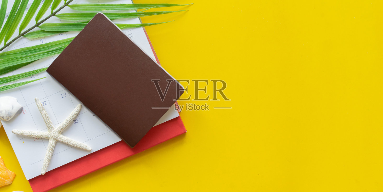 近距离俯瞰护照上的日历和海贝壳与绿色热带树叶在黄色背景为夏季和假期的概念照片摄影图片