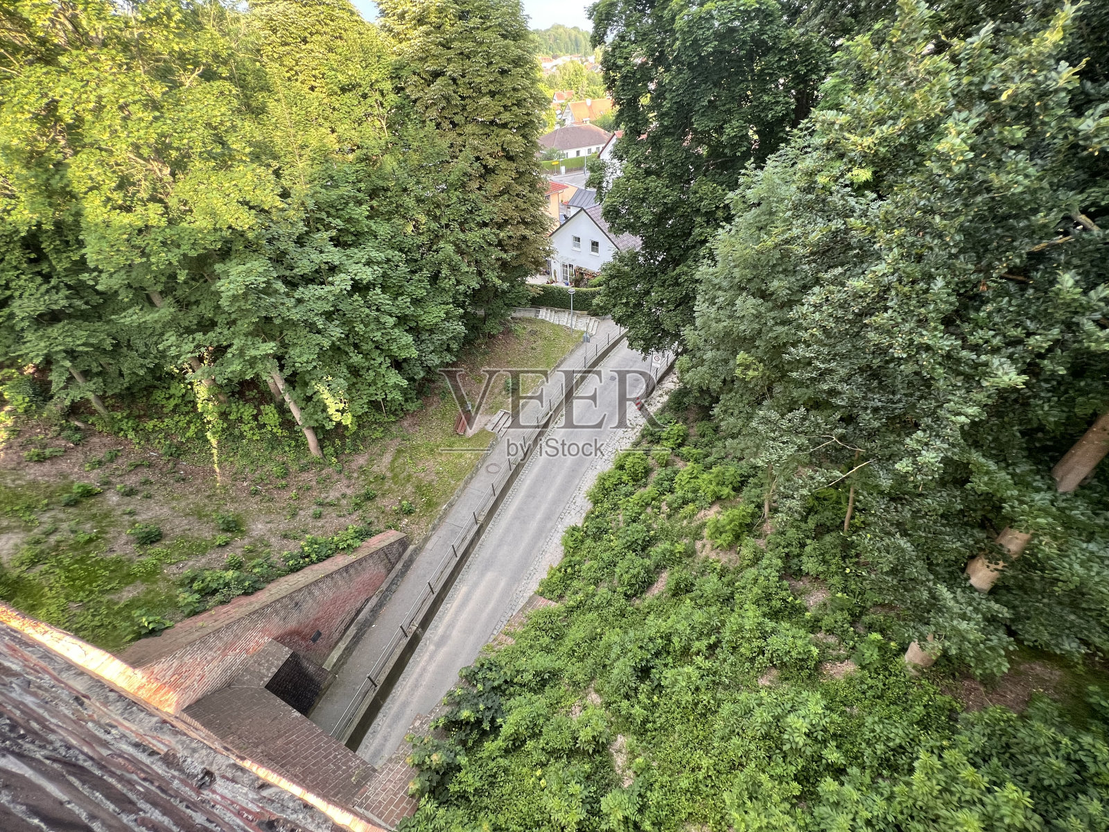 在同一时间，他的同伙们加强了他的自负照片摄影图片