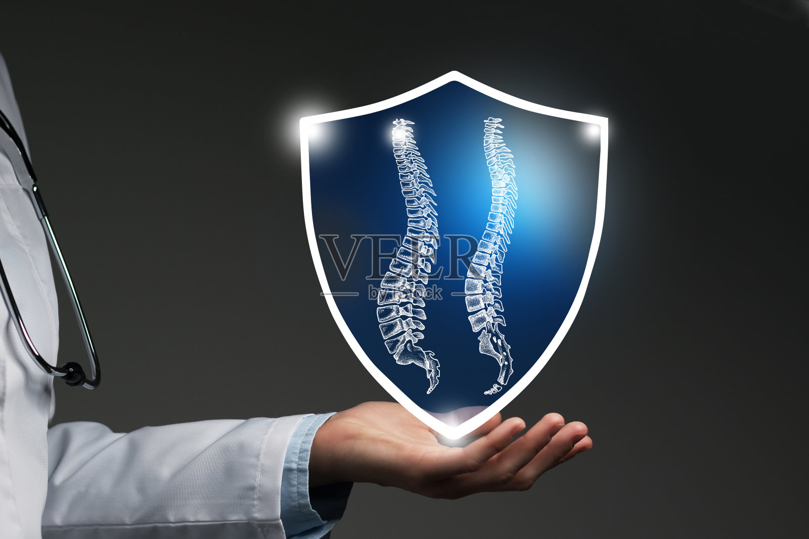 无法辨认的女医生手持盾牌和图形虚拟可视化的脊柱(椎体)器官在手中。照片摄影图片