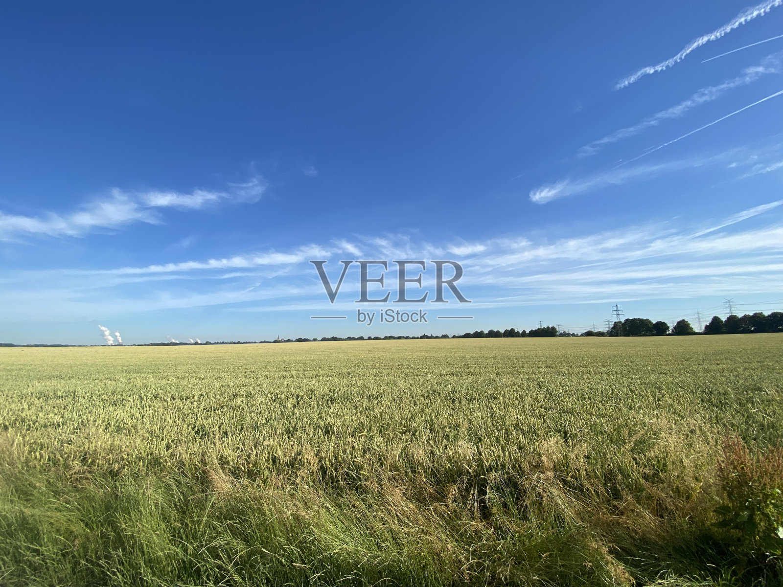 麦田和蓝天照片摄影图片