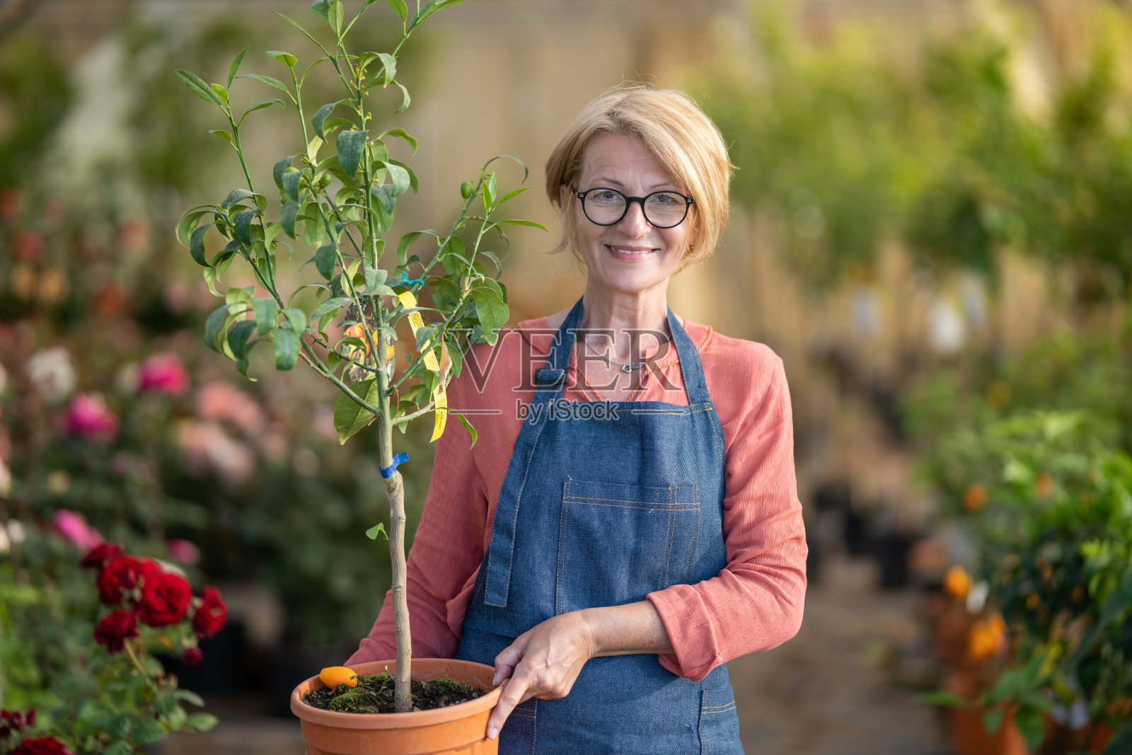 花园中心的女人照片摄影图片