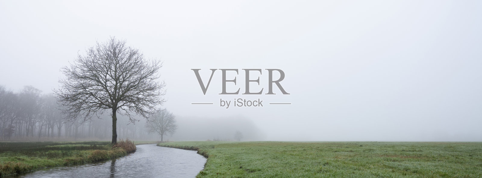 雾蒙蒙的冬日，荷兰乌得勒支省靠近森林的运河边的树木照片摄影图片