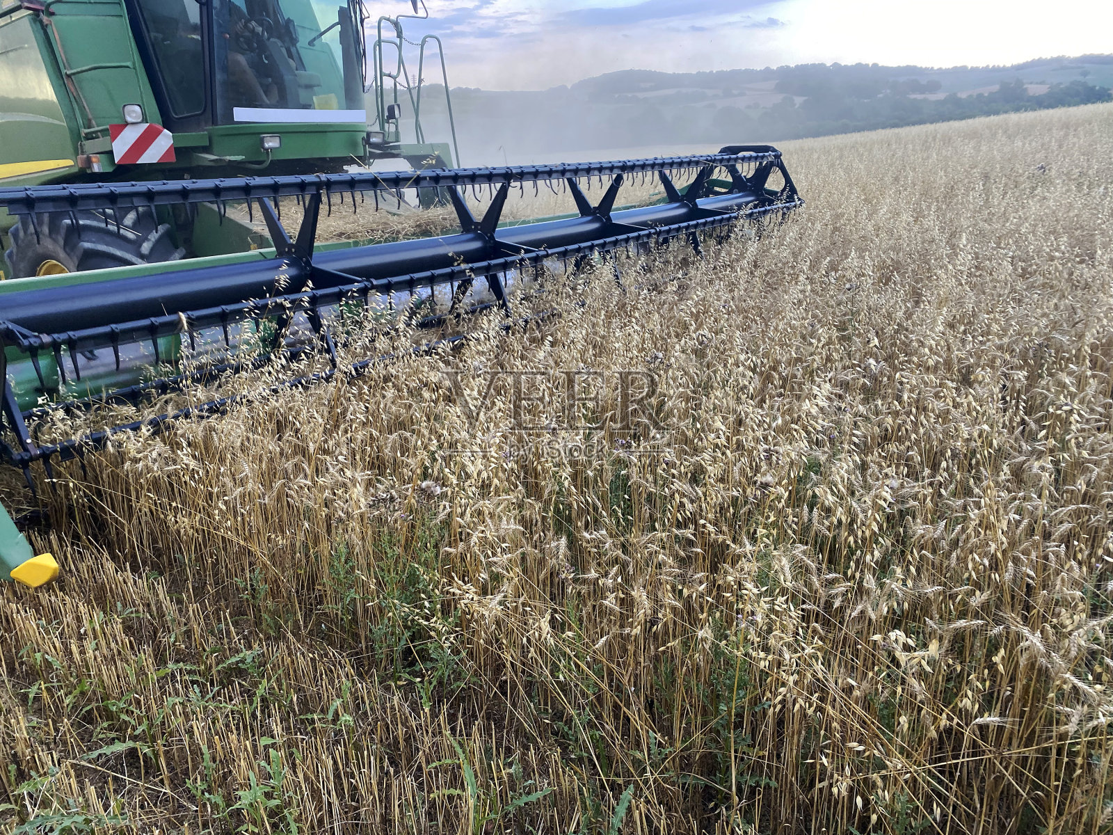 2022年联合收割机收获小麦照片摄影图片