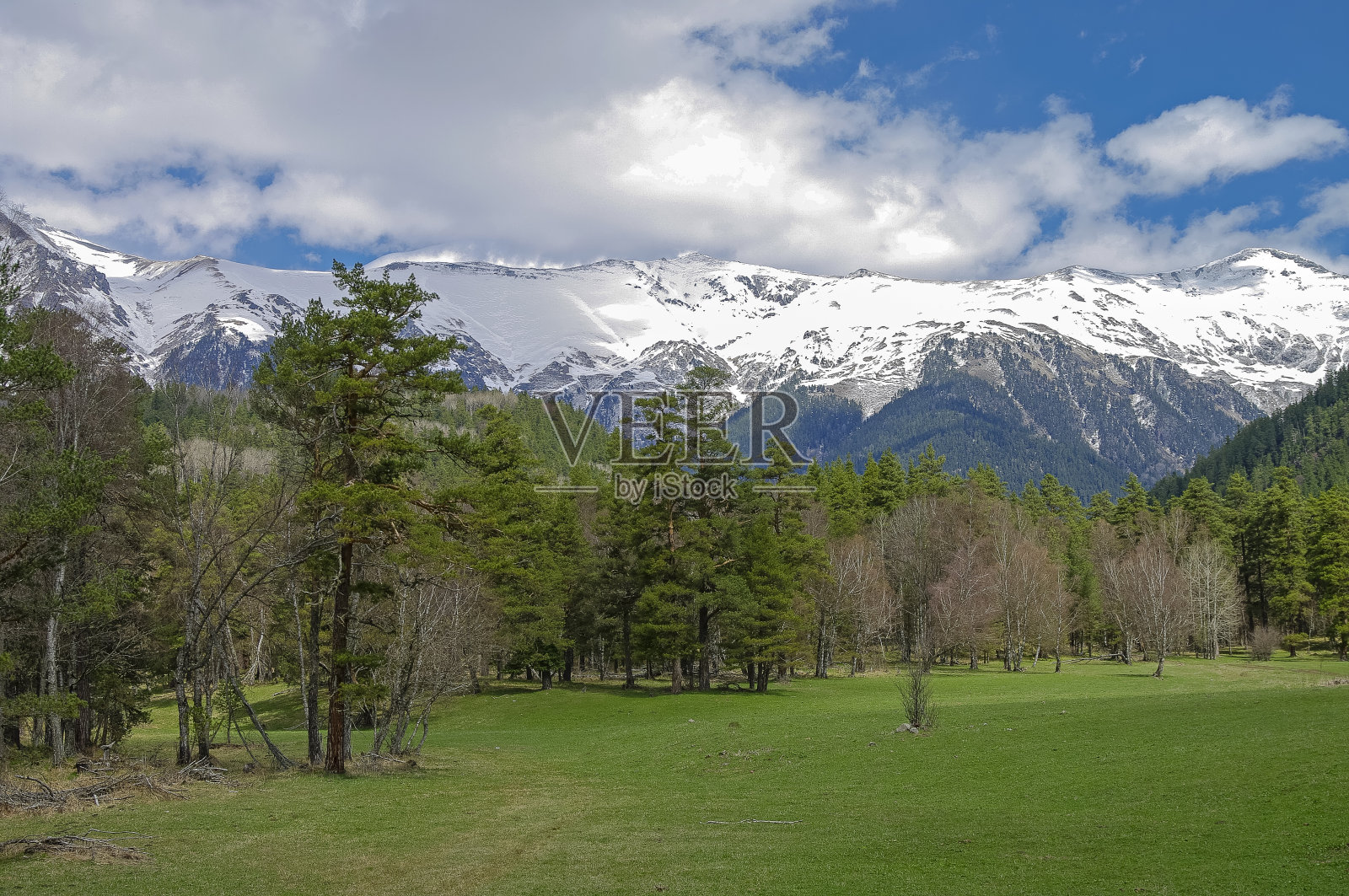 春天在高加索山脉。照片摄影图片