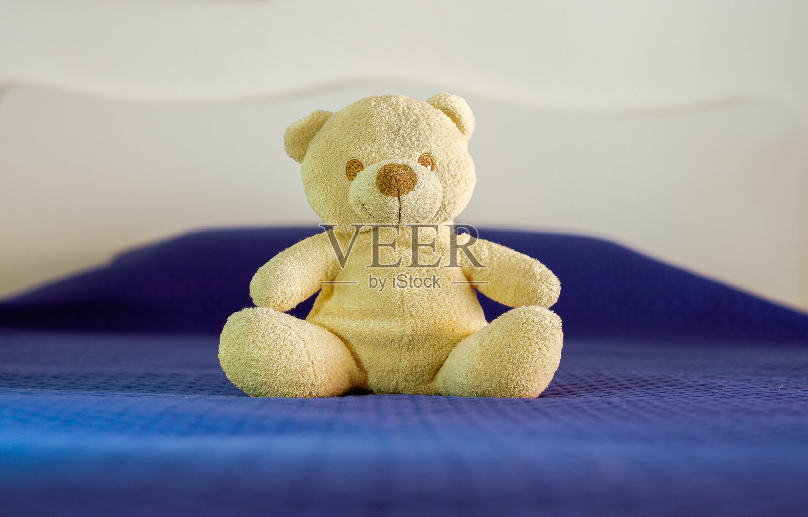 快乐的熊照片摄影图片