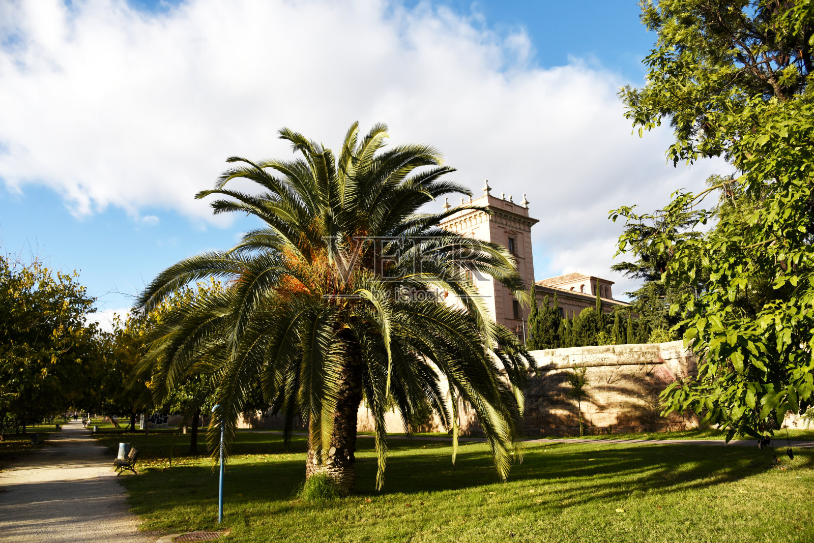 有绿树和棕榈树的城市公园。有花园和绿树的瓦伦西亚中央公园。照片摄影图片