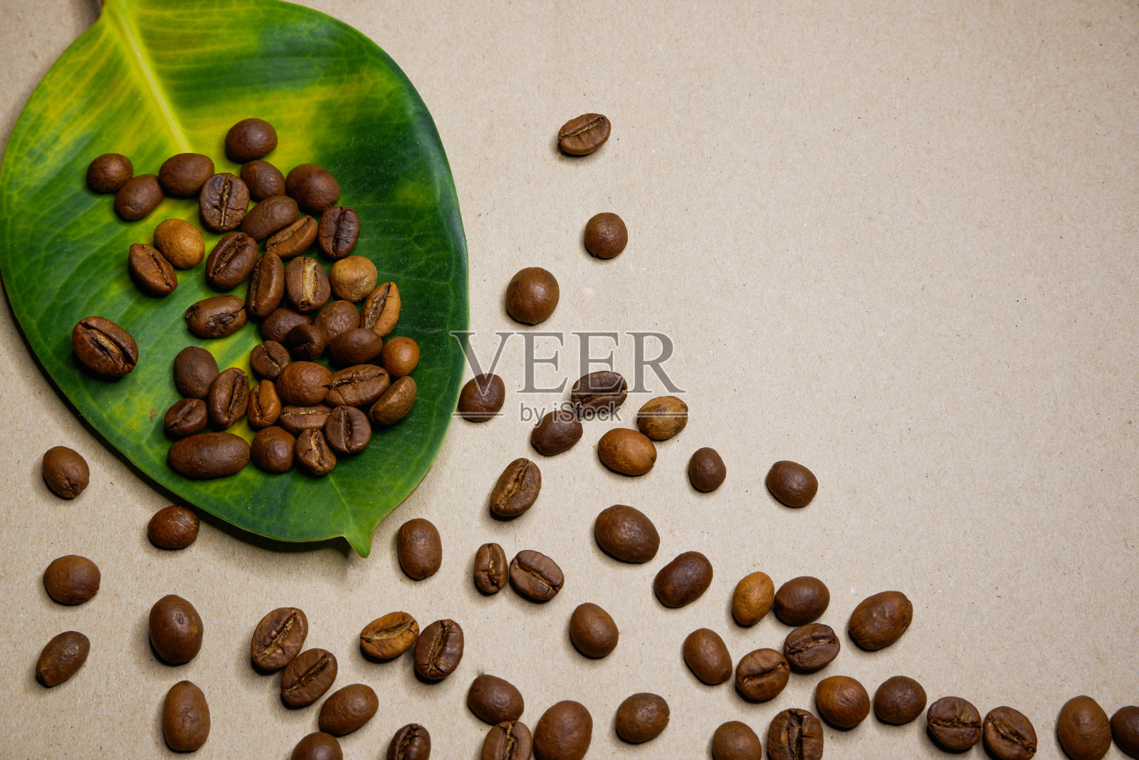 大片黄绿色的叶子和咖啡颗粒散落在白色的背景上照片摄影图片