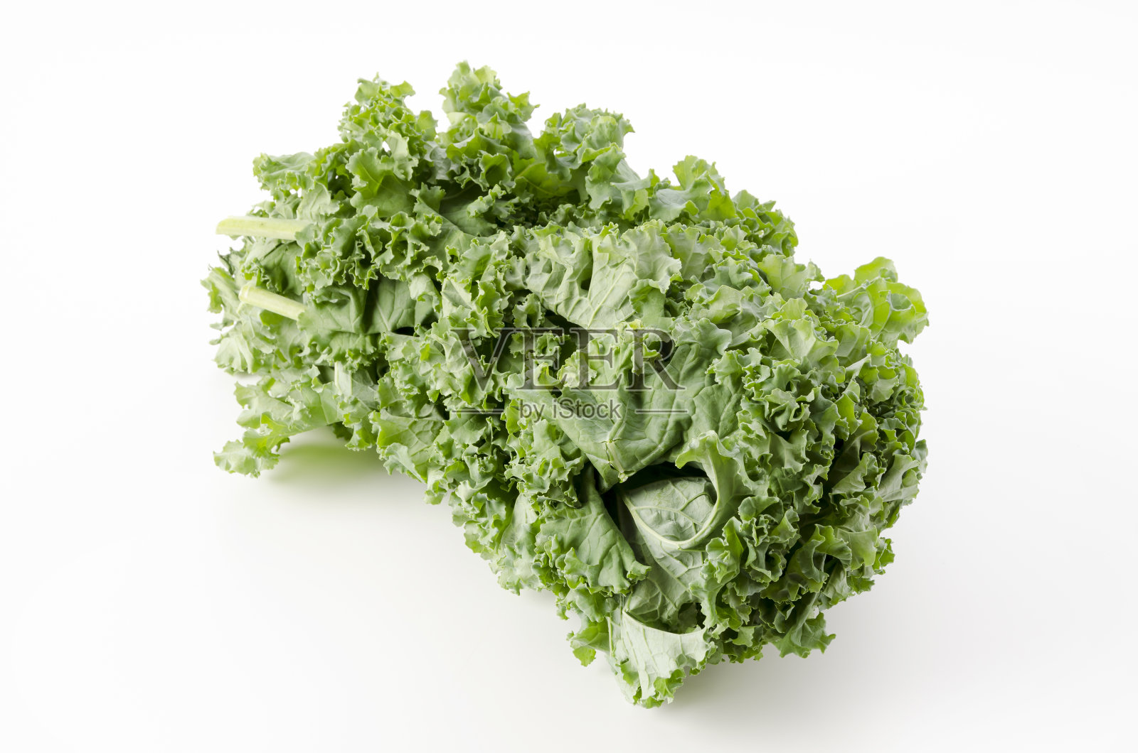 新鲜卷曲的绿色甘蓝在白色的背景照片摄影图片