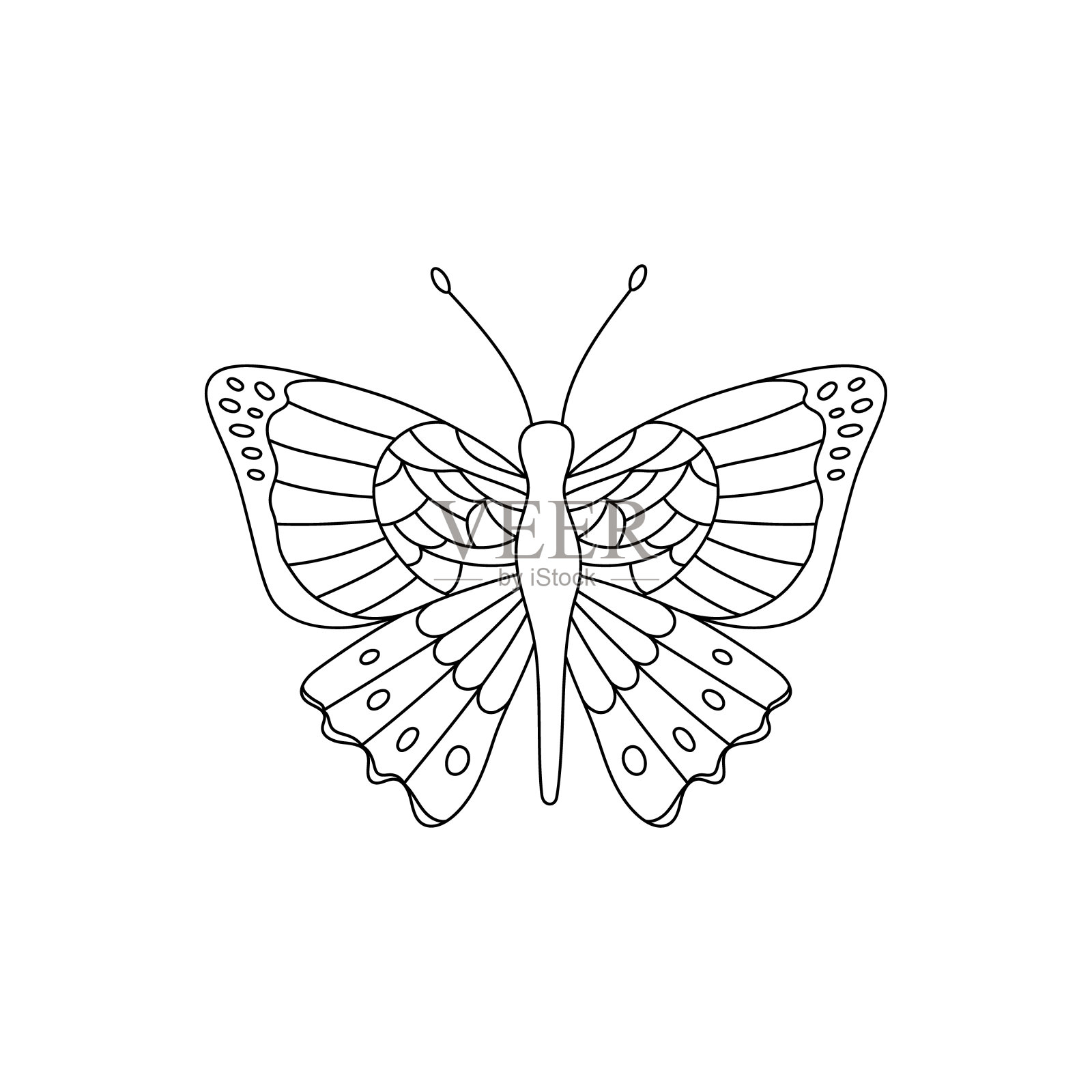 蝴蝶矢量黑色轮廓昆虫着色页插画图片素材