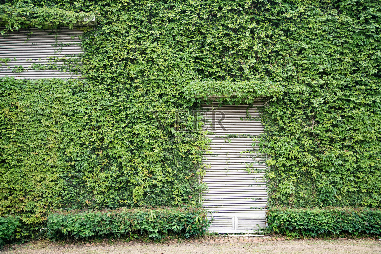 绿色建筑照片摄影图片