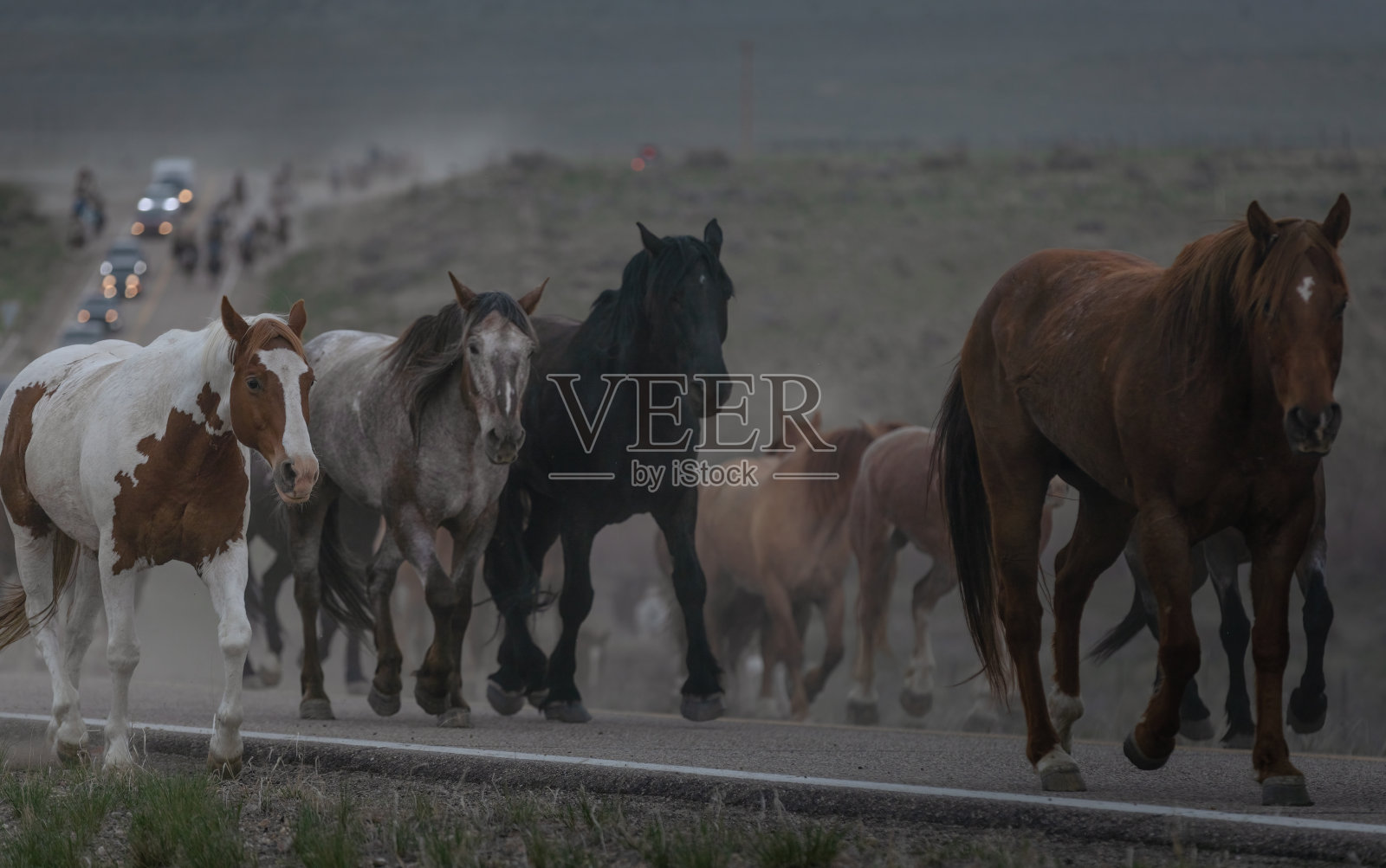 2022年美国大马道照片摄影图片
