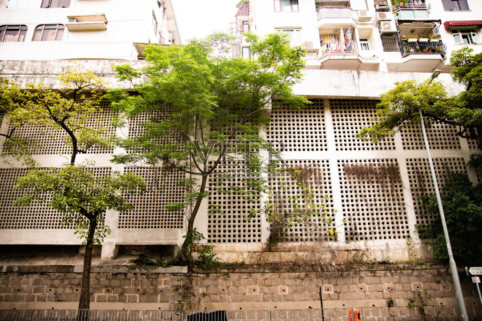 绿色建筑照片摄影图片